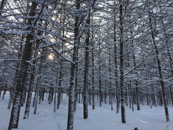 雪遊び!_a0356060_12412781.jpg