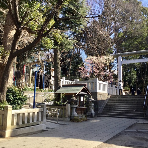 上野五條天神社「うけら・やらい・追儺」の神事_a0053063_54426.jpg