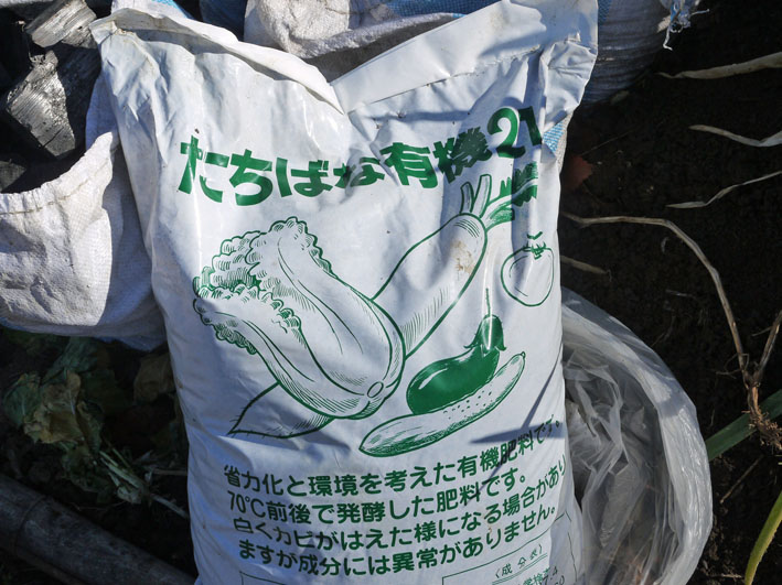 炭使い土づくり、ジャガイモの種芋植える準備完了2・8_c0014967_187592.jpg