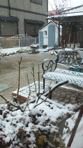 f0260167_14362295.jpg