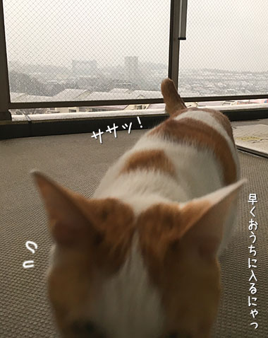 a0119470_17164610.jpg