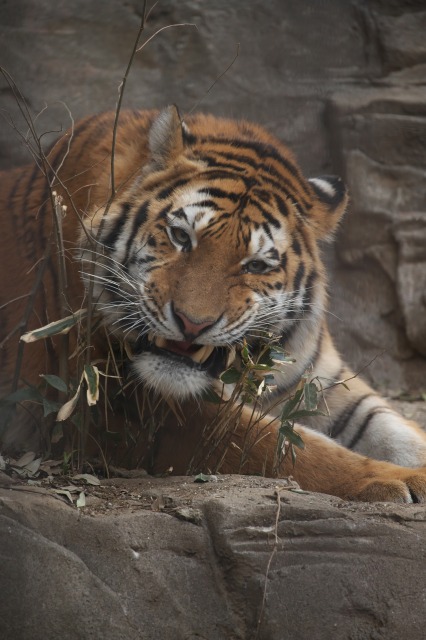 a0188771_2339433.jpg