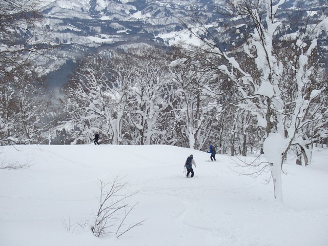 a0344771_17361539.jpg