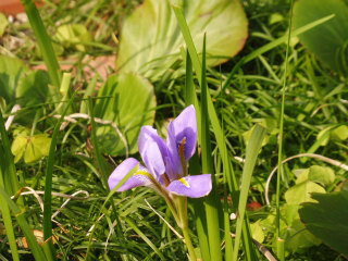e0046477_1751271.jpg