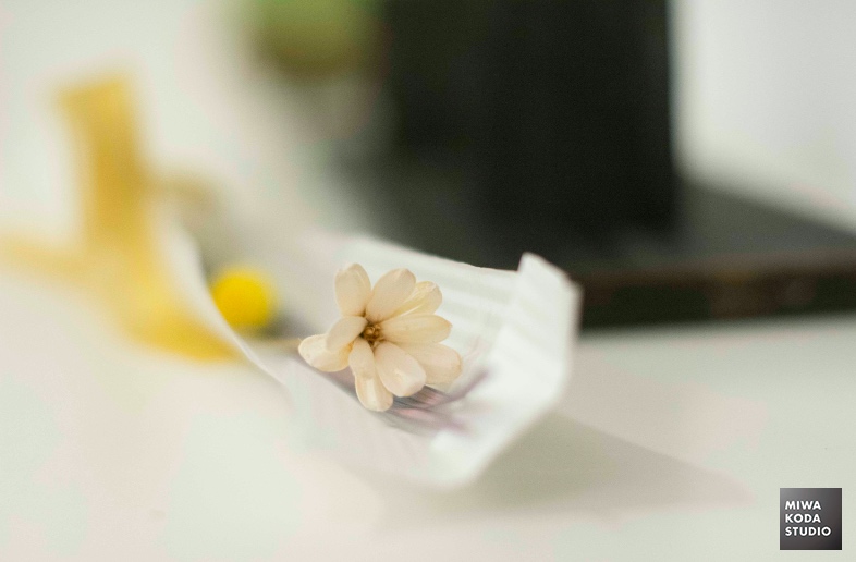 February 9, 2017 小さなお花 Small Flower_a0307186_620249.jpg