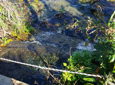 b0123486_81385.jpg