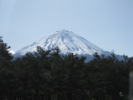 ★甲州ワインが美味しぃ～痛い体が治る？★_e0147297_17163162.jpg