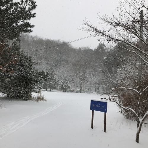 積雪しています_e0179508_10414003.jpg