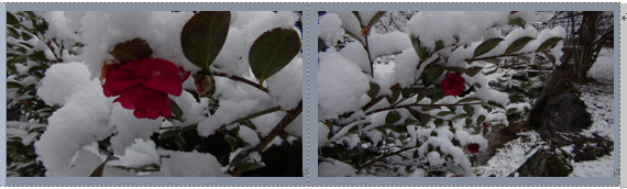 f0231709_1929442.png