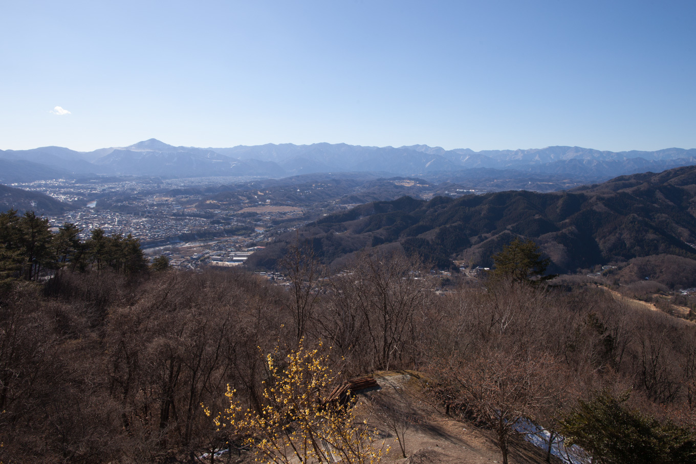 ロウバイの香りに包まれた宝登山_c0369219_22530123.jpg