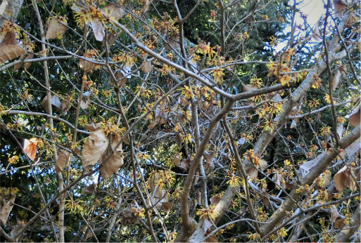 f0354923_00110423.jpg