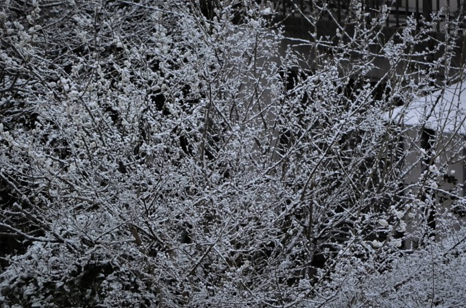 f0354923_23280666.jpg