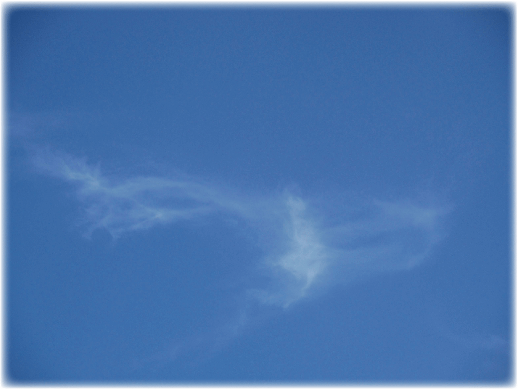 天空の舞_c0107829_00115520.gif