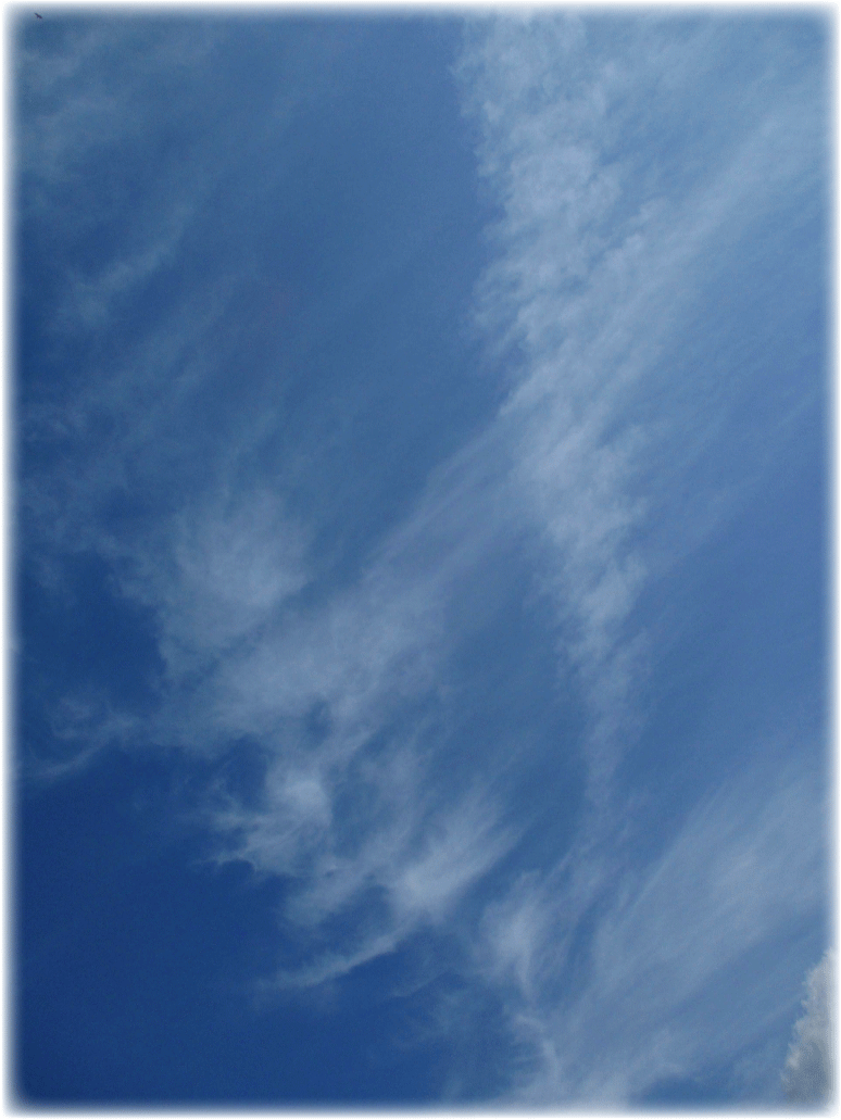 天空の舞_c0107829_00132123.gif