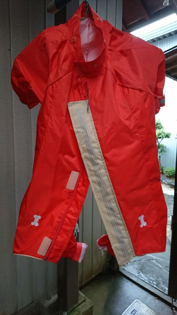 b0138430_10380305.jpg