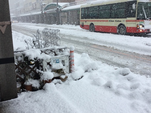 ⭐︎大雪警報お見舞い申し上げます_b0182530_10473573.jpg