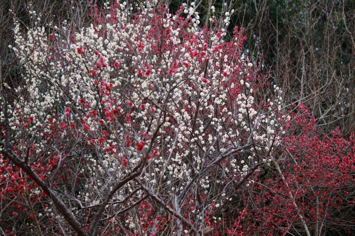 f0348831_21402388.jpg