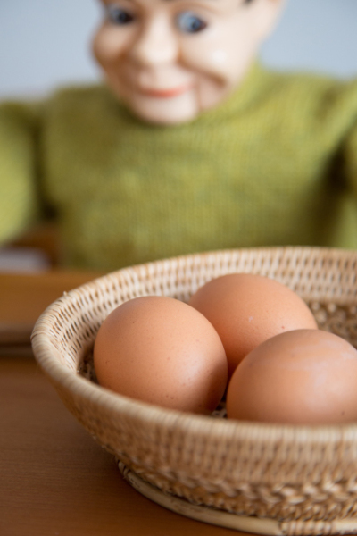 ”秋田かしわ店”さんのこだわり卵で 卵かけごはん♪_e0369736_12411109.jpg