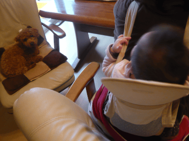 c0365341_19215025.gif