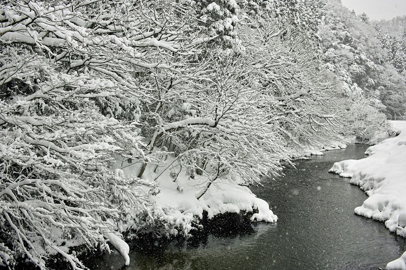 中雪の針畑雪・・・・積雪が1ｍ超えに。_d0005250_16345167.jpg