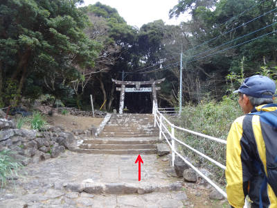 e0033751_1684117.jpg