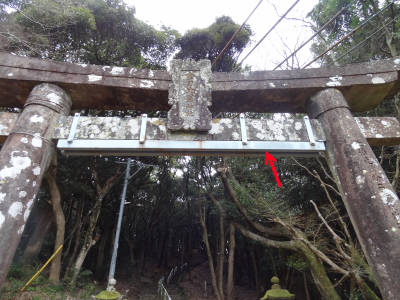 e0033751_1684235.jpg