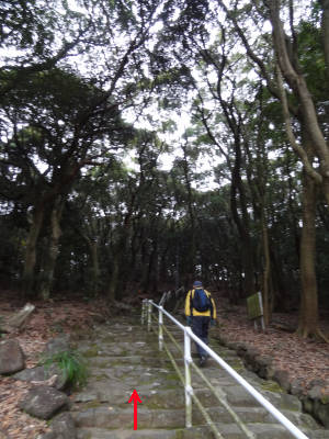 e0033751_168425.jpg