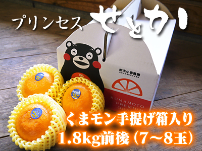 究極の柑橘「せとか」 選び抜かれた“プリンセス”せとか!! 平成29年度のご予約受付スタート!_a0254656_1816212.jpg