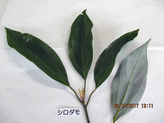 f0140773_15050141.gif