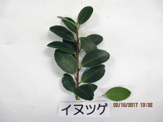 f0140773_15090707.gif
