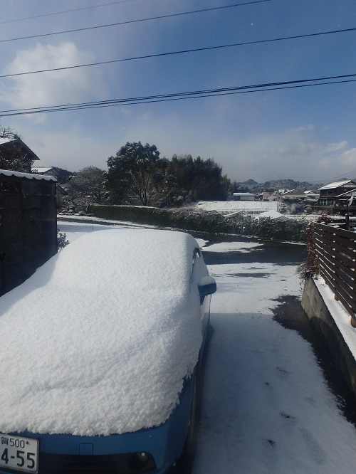 花器の紹介 (2)_d0195183_21423780.jpg