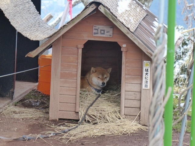 金峰山は雪が残ってました。_f0357487_23390863.jpg