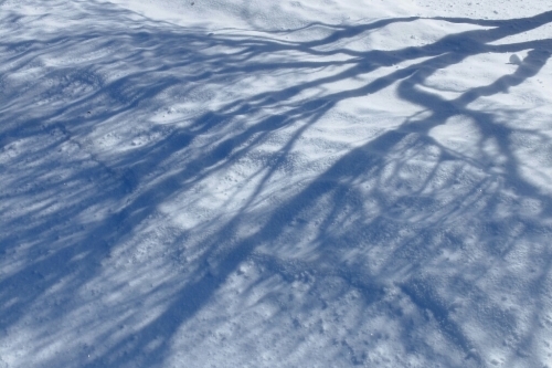 e0304001_13541625.jpg