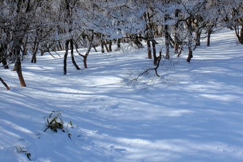 e0304001_13542136.jpg