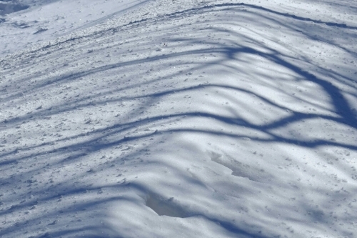e0304001_13542293.jpg