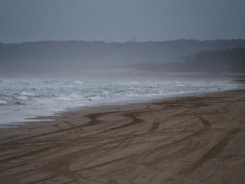 f0155808_09283320.jpg