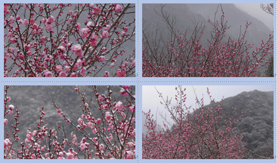 f0231709_2015539.png