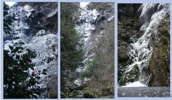 f0231709_2024568.png