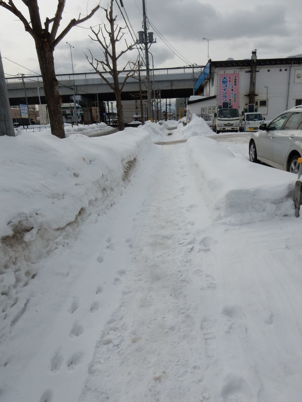 久しぶりに乾燥した車道(ラスコー洞窟壁画と「芸術と科学」)_c0025115_21470278.jpg