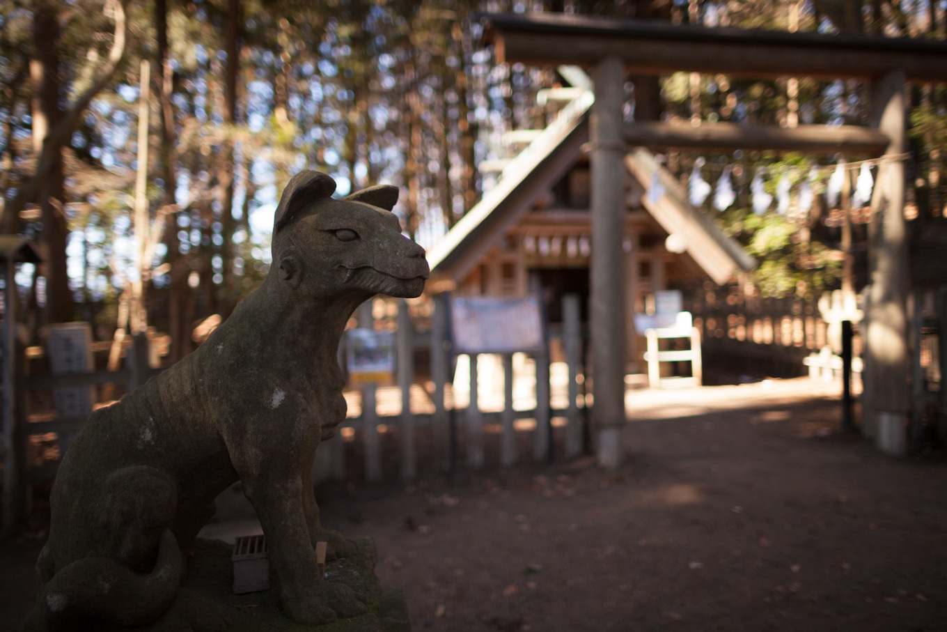 宝登山神社奥宮で_c0369219_19471264.jpg