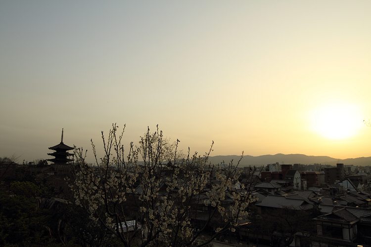 京都回顧 東山花灯路2010－八坂の塔・夕景－_b0169330_82387.jpg