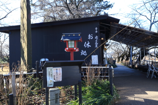 埼玉県幸手市権現堂公園その１_f0229832_22544561.jpg