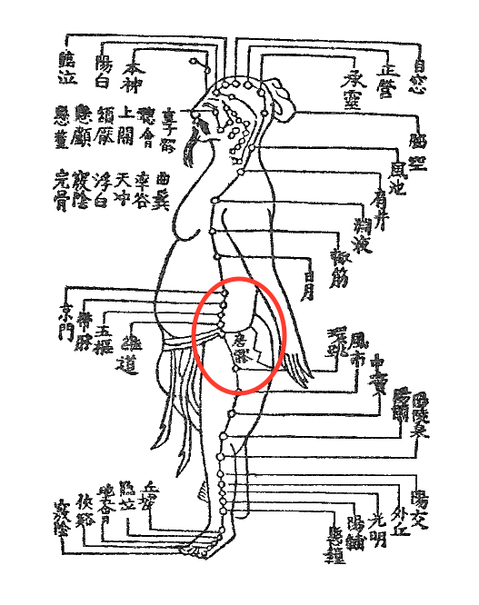 凝りや張りよりもフニャフニャなほうが、腰の不調は深いことがあります 〜ある日の施術より〜_e0073240_07173895.jpg