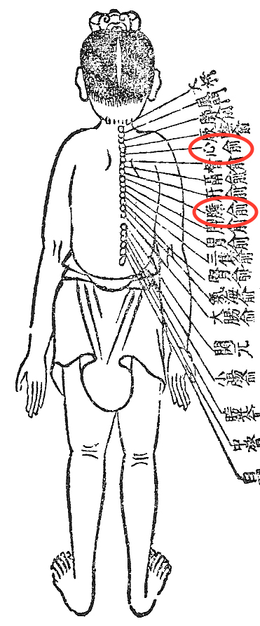 凝りや張りよりもフニャフニャなほうが、腰の不調は深いことがあります 〜ある日の施術より〜_e0073240_07314198.jpg