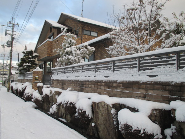 雪の多い今年の冬_b0100062_19254127.jpg