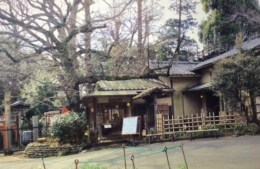 無い物ねだり・雪の東照宮・冬牡丹、韻松亭_a0053063_12504145.jpg