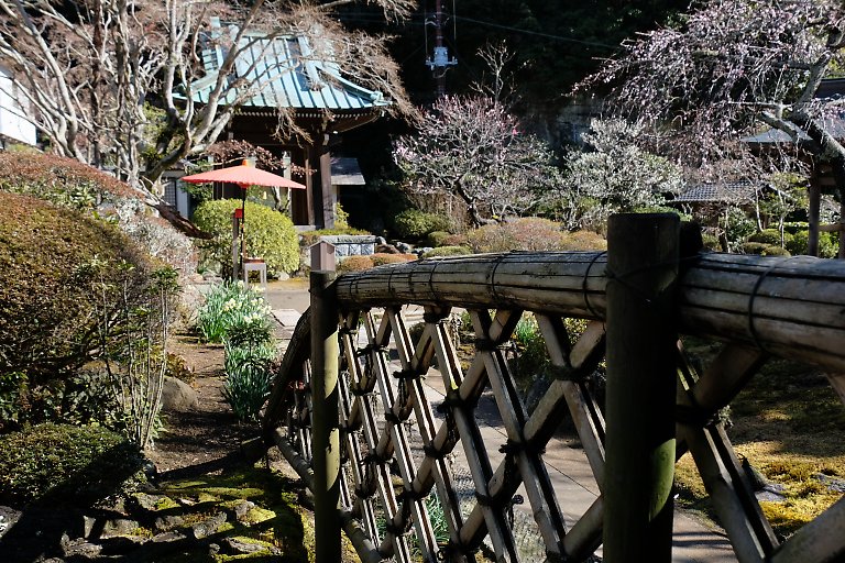 海蔵寺（２月１０日）_c0057265_2592455.jpg