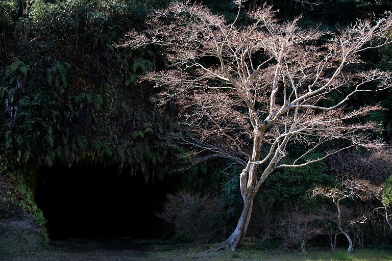 海蔵寺（２月１０日）_c0057265_303114.jpg