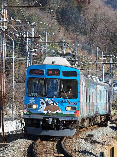 秩父鉄道 ELロウバイ号_f0199866_21522102.jpg