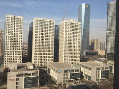 f0045667_2155364.jpg